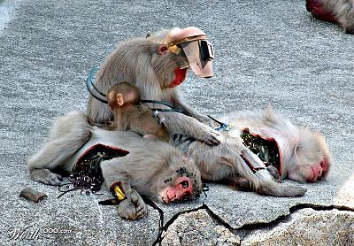 Нажмите на изображение для увеличения
Название: 957583_b1f4_1024x2000.jpg
Просмотров: 208
Размер:	214.9 Кб
ID:	2445