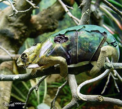 Нажмите на изображение для увеличения
Название: 959765_4c7f_1024x2000.jpg
Просмотров: 196
Размер:	182.5 Кб
ID:	2449