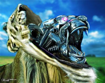 Нажмите на изображение для увеличения
Название: 1521064_ea4b_1024x2000.jpg
Просмотров: 153
Размер:	209.2 Кб
ID:	2452