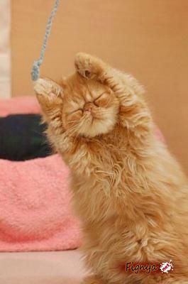 Нажмите на изображение для увеличения
Название: 1273620997_5.jpg
Просмотров: 183
Размер:	25.3 Кб
ID:	2496