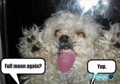 Нажмите на изображение для увеличения
Название: 1273621022_17.jpg
Просмотров: 175
Размер:	31.2 Кб
ID:	2497