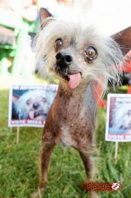 Нажмите на изображение для увеличения
Название: 1273621023_8.jpg
Просмотров: 164
Размер:	33.0 Кб
ID:	2498