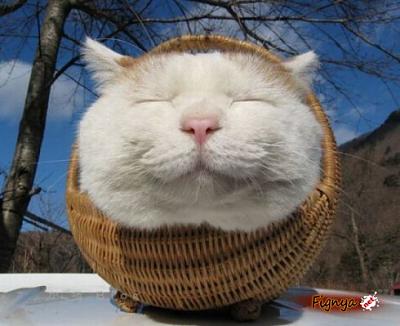 Нажмите на изображение для увеличения
Название: 1273621031_2.jpg
Просмотров: 160
Размер:	41.1 Кб
ID:	2499