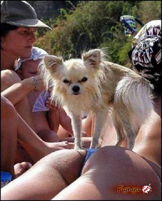 Нажмите на изображение для увеличения
Название: 1273621054_9.jpg
Просмотров: 192
Размер:	46.4 Кб
ID:	2503