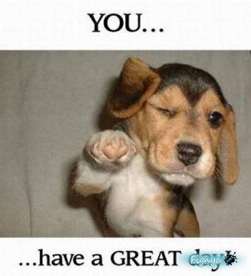 Нажмите на изображение для увеличения
Название: 1273621076_31.jpg
Просмотров: 177
Размер:	29.8 Кб
ID:	2507