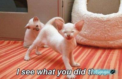 Нажмите на изображение для увеличения
Название: 1273621078_11.jpg
Просмотров: 173
Размер:	34.9 Кб
ID:	2508