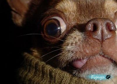 Нажмите на изображение для увеличения
Название: 1273621085_21.jpg
Просмотров: 154
Размер:	32.6 Кб
ID:	2511