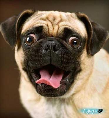 Нажмите на изображение для увеличения
Название: 1273621100_30.jpg
Просмотров: 146
Размер:	35.3 Кб
ID:	2513