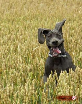 Нажмите на изображение для увеличения
Название: 1273621143_29.jpg
Просмотров: 154
Размер:	58.0 Кб
ID:	2514