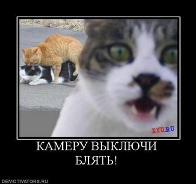 Нажмите на изображение для увеличения
Название: x_0fbd5992.jpg
Просмотров: 388
Размер:	37.4 Кб
ID:	25440