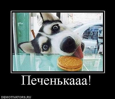 Нажмите на изображение для увеличения
Название: x_12fe71eb.jpg
Просмотров: 458
Размер:	50.1 Кб
ID:	25449
