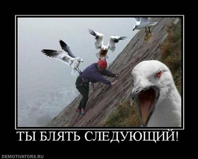 Нажмите на изображение для увеличения
Название: x_85fb8bbe.jpg
Просмотров: 397
Размер:	52.8 Кб
ID:	25455