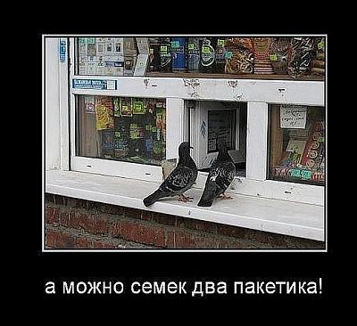 Нажмите на изображение для увеличения
Название: x_0742e40f.jpg
Просмотров: 417
Размер:	70.1 Кб
ID:	25457