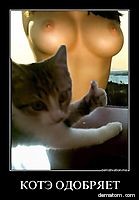 Название: 418525-kote_odobriaet.jpg
Просмотров: 256

Размер: 9.1 Кб