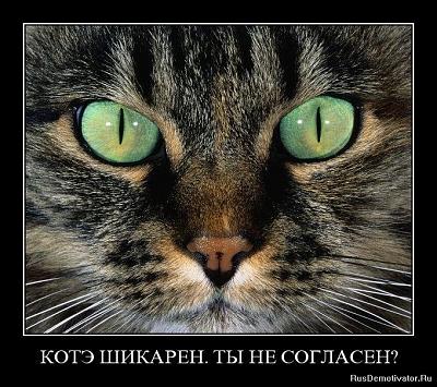 Нажмите на изображение для увеличения
Название: 1272436544_wj79aytbiyke.jpg
Просмотров: 223
Размер:	142.0 Кб
ID:	25676