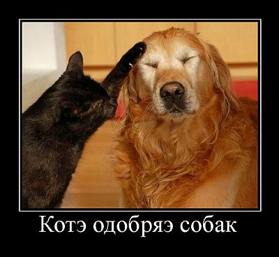 Нажмите на изображение для увеличения
Название: tmpVeTWw1.jpg
Просмотров: 223
Размер:	13.3 Кб
ID:	25677