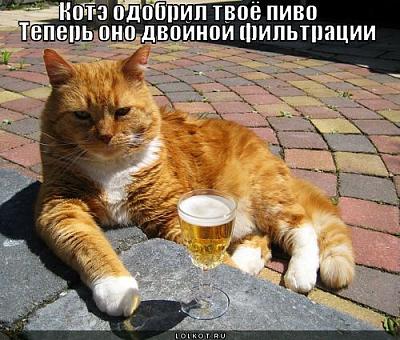 Нажмите на изображение для увеличения
Название: kote-odobril_1310636374.jpg
Просмотров: 137
Размер:	59.6 Кб
ID:	25679