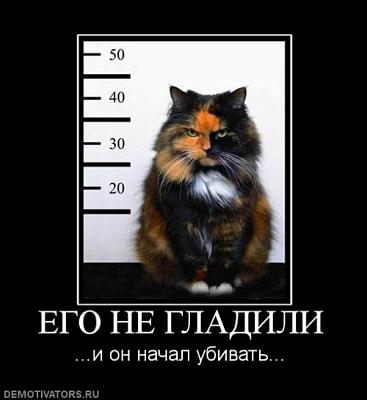 Нажмите на изображение для увеличения
Название: 58cc65.jpg
Просмотров: 215
Размер:	93.5 Кб
ID:	25680
