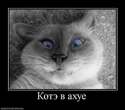 Нажмите на изображение для увеличения
Название: 35591_kote-v-ahue.jpg
Просмотров: 127
Размер:	65.5 Кб
ID:	26165