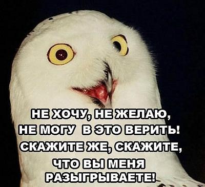 Нажмите на изображение для увеличения
Название: orly.jpg
Просмотров: 109
Размер:	52.4 Кб
ID:	26496