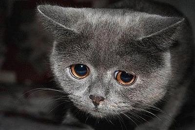 Нажмите на изображение для увеличения
Название: =((.jpg
Просмотров: 135
Размер:	63.0 Кб
ID:	26633