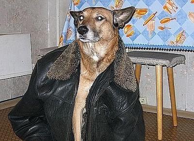 Нажмите на изображение для увеличения
Название: x_8de1b230.jpg
Просмотров: 113
Размер:	76.9 Кб
ID:	26890