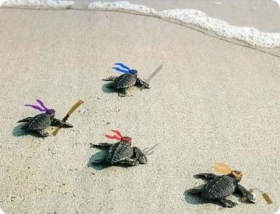 Нажмите на изображение для увеличения
Название: x_38def648.jpg
Просмотров: 137
Размер:	71.2 Кб
ID:	26891