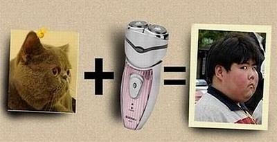 Нажмите на изображение для увеличения
Название: x_6318b18e.jpg
Просмотров: 154
Размер:	49.7 Кб
ID:	26892