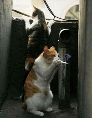 Нажмите на изображение для увеличения
Название: y_b0eeecce.jpg
Просмотров: 107
Размер:	88.1 Кб
ID:	26898