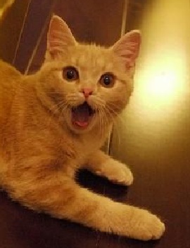 Название: =O2.jpg
Просмотров: 442

Размер: 24.4 Кб