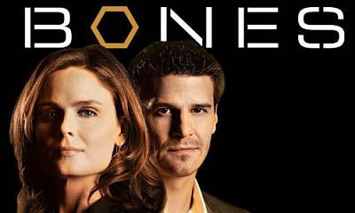 Нажмите на изображение для увеличения
Название: Bones-Season-7.jpg
Просмотров: 166
Размер:	27.2 Кб
ID:	27520