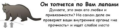Нажмите на изображение для увеличения
Название: cat_02.jpg
Просмотров: 275
Размер:	19.3 Кб
ID:	2891
