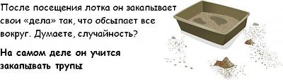 Нажмите на изображение для увеличения
Название: cat_03.jpg
Просмотров: 251
Размер:	32.8 Кб
ID:	2892