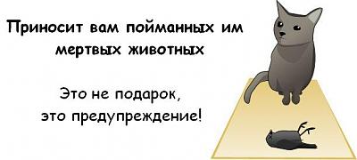 Нажмите на изображение для увеличения
Название: cat_05.jpg
Просмотров: 245
Размер:	20.6 Кб
ID:	2894