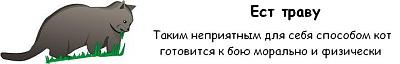 Нажмите на изображение для увеличения
Название: cat_06.jpg
Просмотров: 203
Размер:	13.9 Кб
ID:	2895