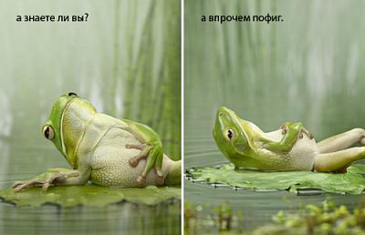 Нажмите на изображение для увеличения
Название: 1316903099441.jpg
Просмотров: 201
Размер:	135.2 Кб
ID:	29105