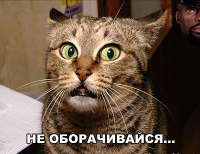 Нажмите на изображение для увеличения
Название: 1318436040367.jpg
Просмотров: 188
Размер:	177.3 Кб
ID:	30125