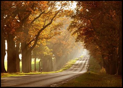 Нажмите на изображение для увеличения
Название: 1222257980_autumn_sun_by_ssilence.jpg
Просмотров: 140
Размер:	255.5 Кб
ID:	30320