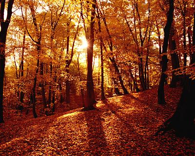 Нажмите на изображение для увеличения
Название: 31_autumn.jpg
Просмотров: 144
Размер:	770.2 Кб
ID:	30326