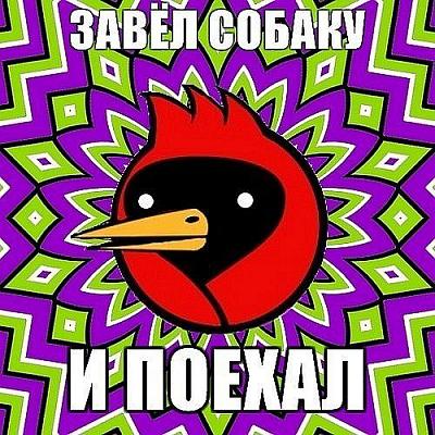 Нажмите на изображение для увеличения
Название: x_865c1820.jpg
Просмотров: 152
Размер:	76.9 Кб
ID:	32153