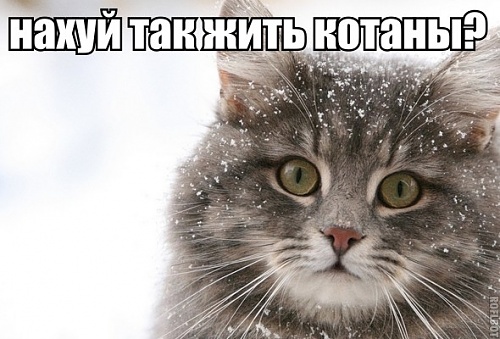 Нажмите на изображение для увеличения
Название: 1321309339359.jpg
Просмотров: 125
Размер:	69.6 Кб
ID:	34690