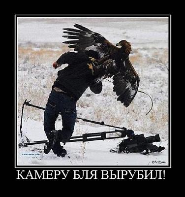 Нажмите на изображение для увеличения
Название: x_8bccd832.jpg
Просмотров: 284
Размер:	71.6 Кб
ID:	3512