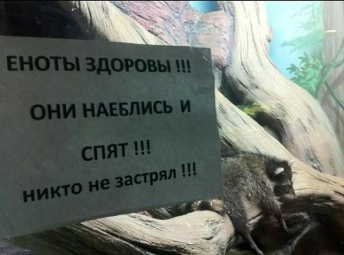 Нажмите на изображение для увеличения
Название: x_9cd45695.jpg
Просмотров: 148
Размер:	71.4 Кб
ID:	35686