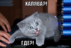 Название: halyava_1263012800.jpg
Просмотров: 1489

Размер: 20.2 Кб