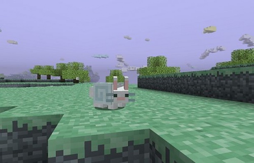 Нажмите на изображение для увеличения
Название: Кролик.JPG
Просмотров: 156
Размер: 36.0 Кб
ID: 37270