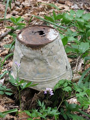 Нажмите на изображение для увеличения
Название: IMG_3338.jpg
Просмотров: 149
Размер:	430.4 Кб
ID:	3830