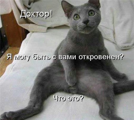 Название: 0099707cb6f0.jpg
Просмотров: 310

Размер: 36.2 Кб