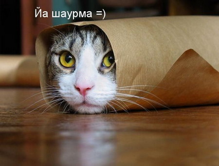 Название: 00038s90.jpg
Просмотров: 317

Размер: 38.0 Кб
