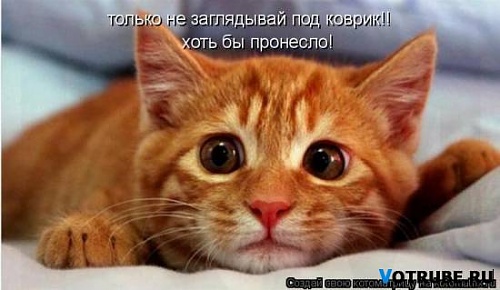 Нажмите на изображение для увеличения
Название: 363670_348902.jpg
Просмотров: 149
Размер:	25.3 Кб
ID:	39851