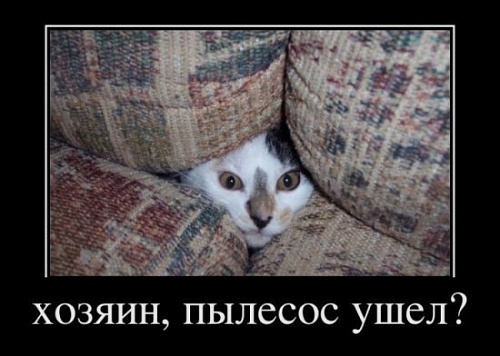 Нажмите на изображение для увеличения
Название: x_92545b1d.jpg
Просмотров: 109
Размер:	48.1 Кб
ID:	40079